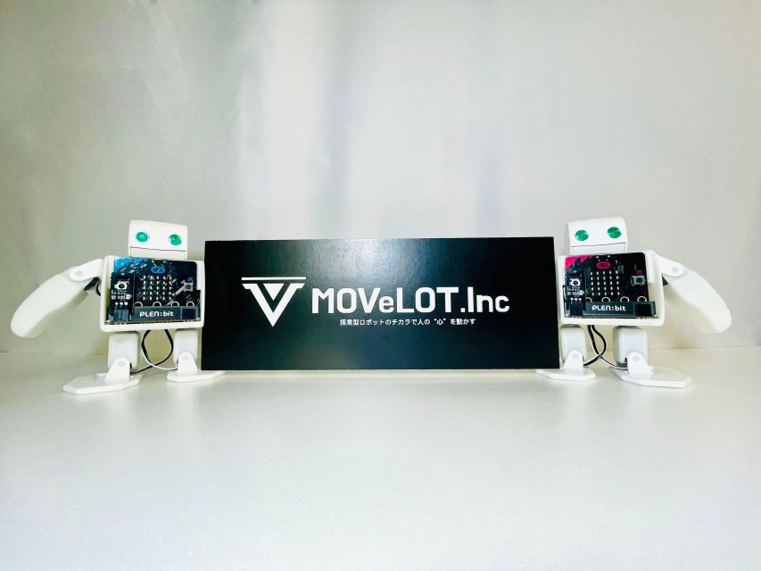 Tokyo: Robot Piloting Attraction Ticket - Timing and logistics: how to get the best 50 minutes