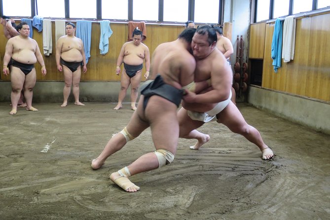 Tokyo Ryogoku Sumo Morning Practice + Photo Shoot with Wrestlers - Key highlights you should know before you go