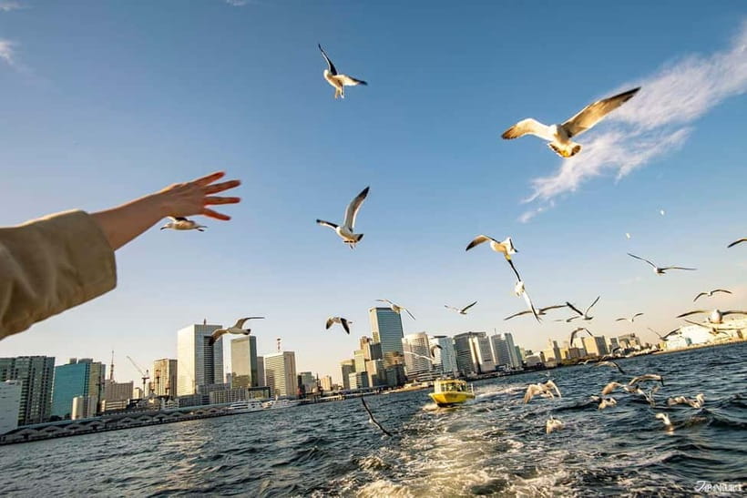 Tokyo: Scenic Bay Cruise with Local Guide on Private Boat - Seabirds Feeding: The Fun Daytime Bonus