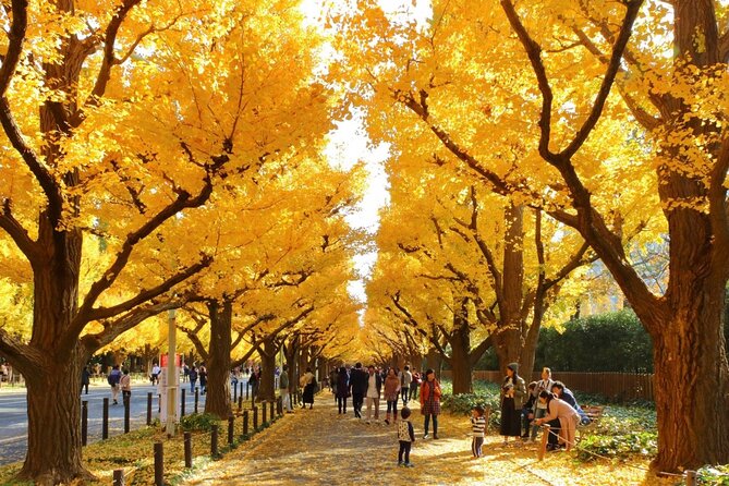 Tokyo Self-Guided Audio Tour - Price and value: what $9 really buys you