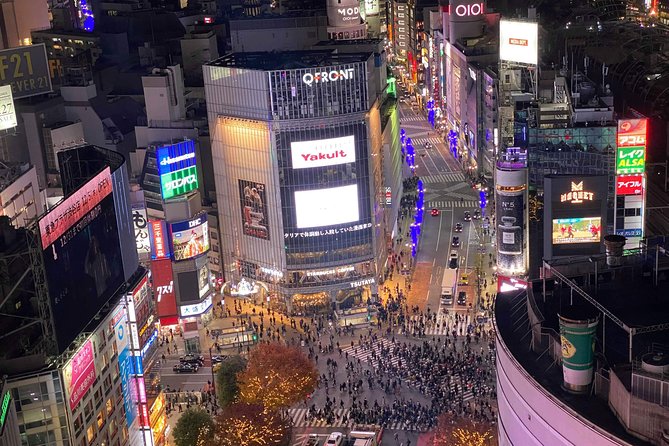 Tokyo: Shibuya Highlights Walking Tour - Elevated Views: Where Shibuya Stops Looking Random