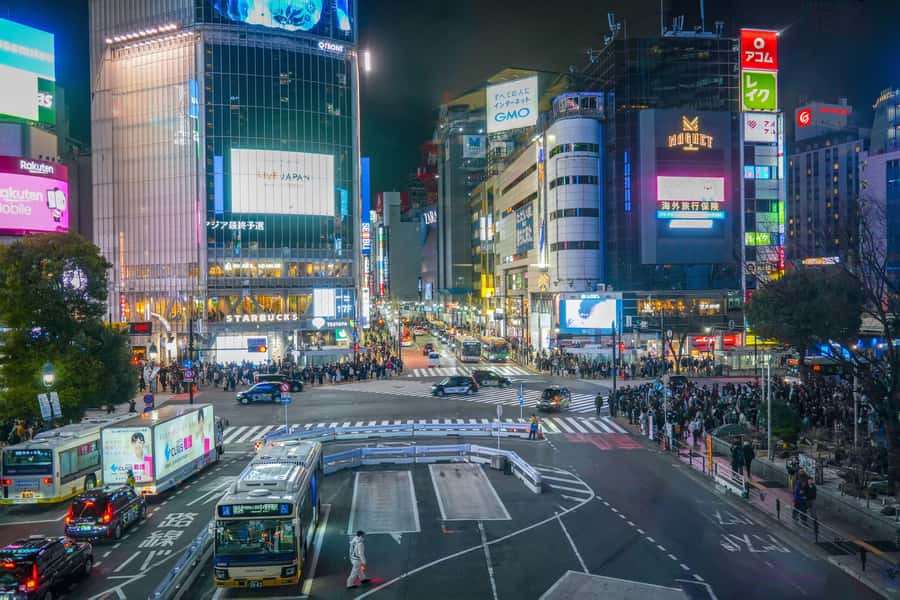 Tokyo: Shibuya Walking Tour & Night Views from Shibuya Sky - Meeting at Hachiko Square, then getting your bearings fast