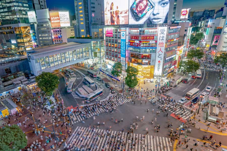 Tokyo: Shibuya Walking Tour & Night Views from Shibuya Sky - How the guide stories make the skyline make sense