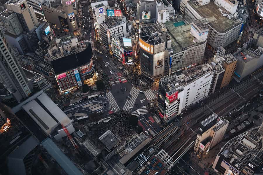 Tokyo: Shibuya Walking Tour & Night Views from Shibuya Sky - Should you book this Shibuya tour?