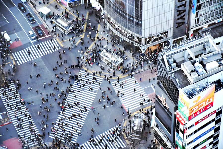 Tokyo: Shibuya Walking Tour & Night Views from Shibuya Sky - Shibuya on foot: Crossing, Center Gai, Yokocho, and Miyashita Park