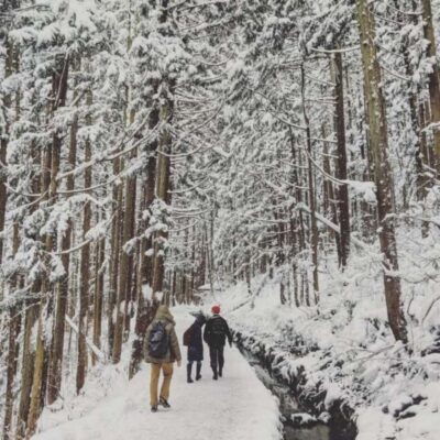 Snow Monkey Park and Zenkoji Temple Private Day Tour