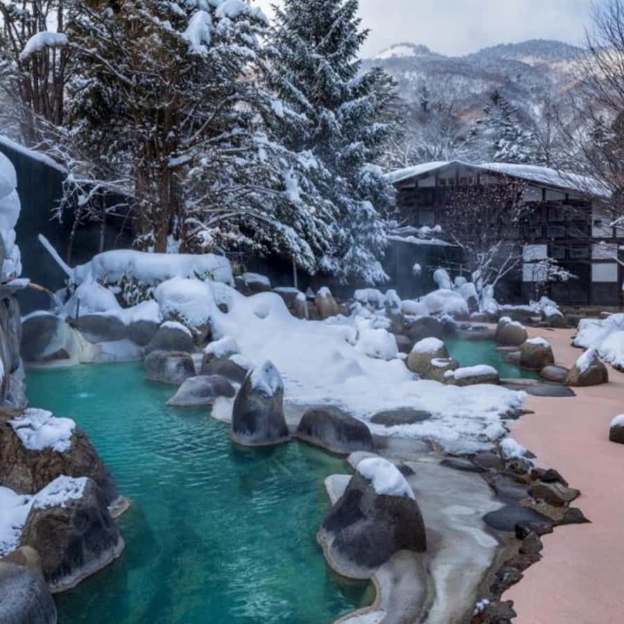 Tokyo: Snow Monkey Park and Zenkoji Temple Private Day Tour - Timing, season, and the winter closing-time issue