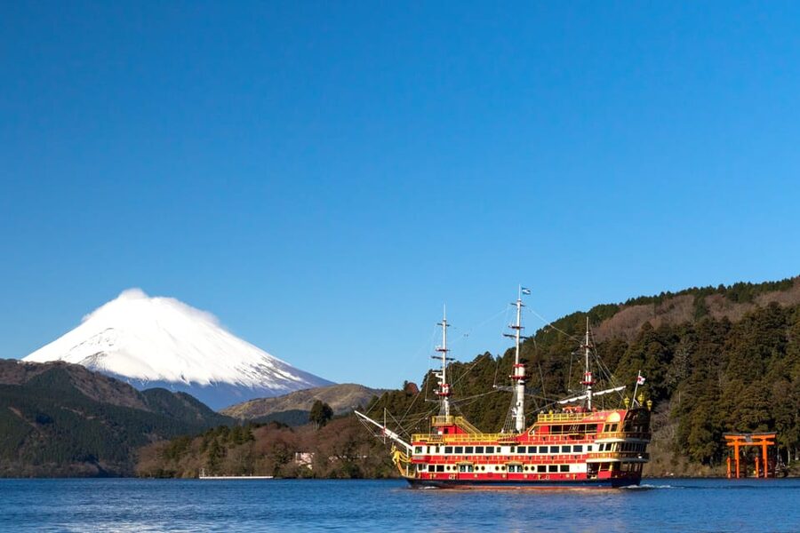 Tokyo: Spring Hitachi Seaside & Ashikaga Flower Park Tour - Who This Tour Is Best For (And Who Should Skip It)