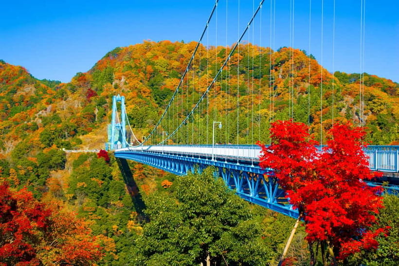 Tokyo: Spring Hitachi Seaside & Ashikaga Flower Park Tour - The Road Station Mibu Food Stop, With a Side of Character-Watching