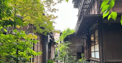 Stroll in Old traditional culture towns~Yanaka & Nezu