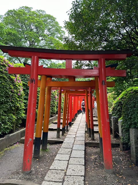 Tokyo:Stroll in Old traditional culture towns~Yanaka & Nezu - Yanaka Cemetery: trees, perspective, and a different kind of Tokyo walk