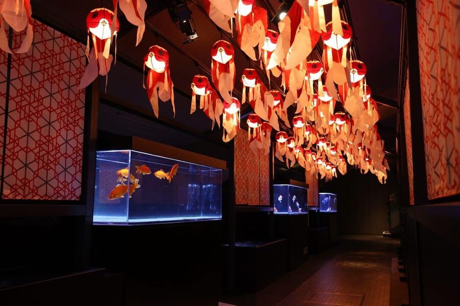 Tokyo: Sumida Aquarium Entry Ticket - Entering Like a Park Day, Not a Rush Through Exhibits