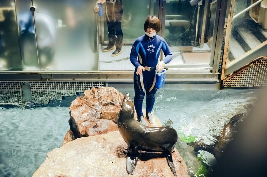 Tokyo: Sumida Aquarium Entry Ticket - Chair Time and Aquatic Views That Actually Let You Rest