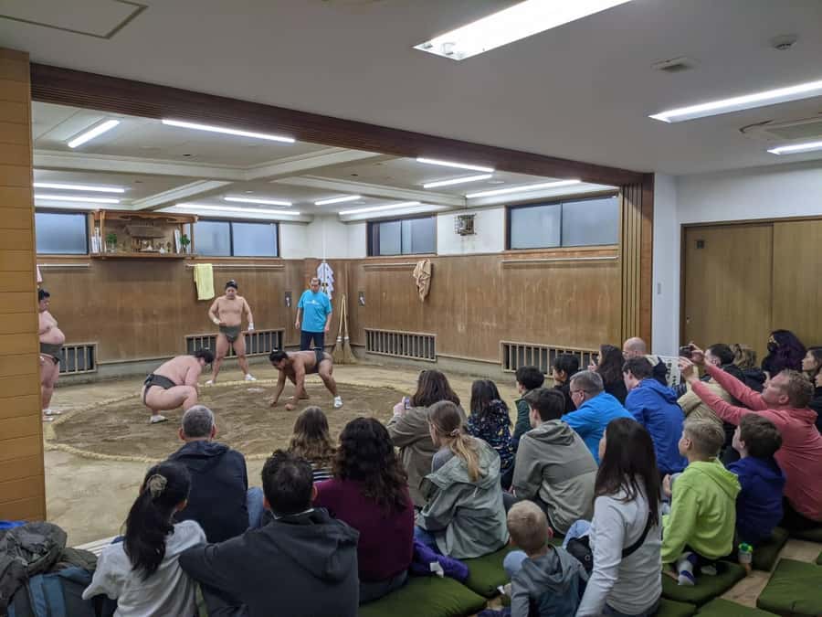 Tokyo: Sumo Morning Practice -Stable Visit Tour with a Guide - What Happens During The 2-Hour Practice Session