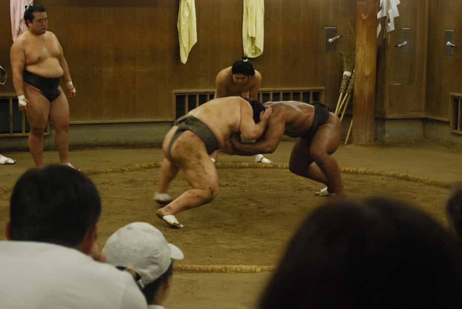 Tokyo: Sumo Morning Practice -Stable Visit Tour with a Guide - Understanding The Stable Culture Behind Ikazuchi Sumo Stable