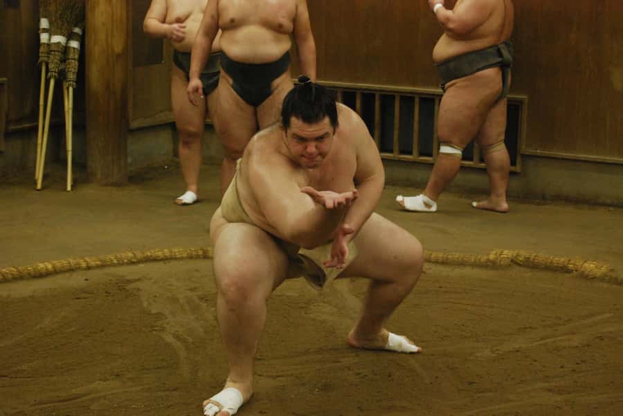 Tokyo: Sumo Morning Practice -Stable Visit Tour with a Guide - Photo Shoot Rules That Still Let You Take Great Pictures