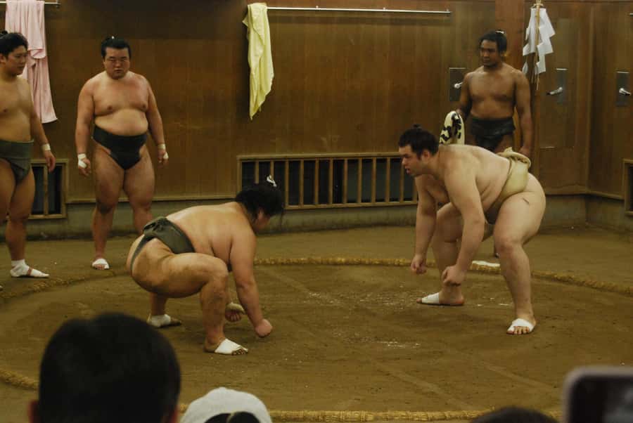 Tokyo: Sumo Morning Practice -Stable Visit Tour with a Guide - Price And Value: Is $90 Worth It For Two Hours?