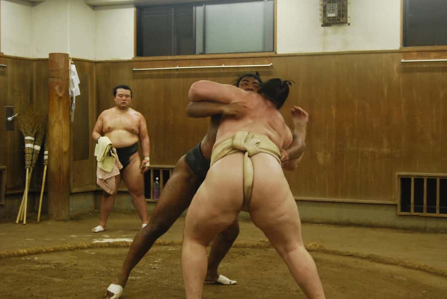 Tokyo: Sumo Morning Practice -Stable Visit Tour with a Guide - Who Should Book This Sumo Morning Practice Tour