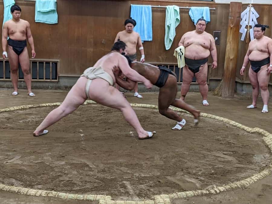 Tokyo: Sumo Morning Practice -Stable Visit Tour with a Guide - Finding The Stable Near Skytree, Meeting At Soramachi Hiroba