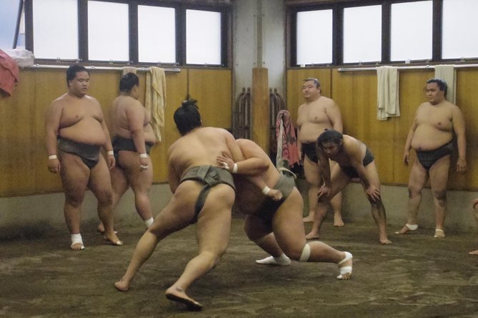 Tokyo Sumo Morning Practice Tour at Stable - Meeting at Ryogoku Station Gallery and the Shinto-to-sumo story