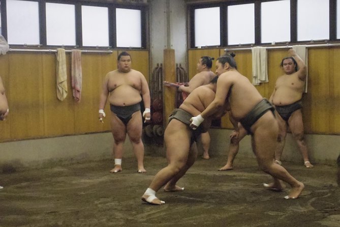Tokyo Sumo Morning Practice Tour at Stable - Your viewing spot: timing, seating, and why early matters