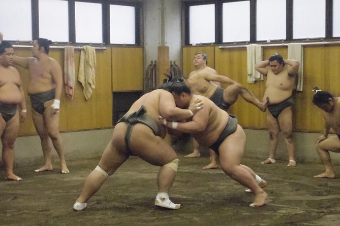 Tokyo Sumo Morning Practice Tour at Stable - Inside the stable: how training really looks (and how to not get in the way)
