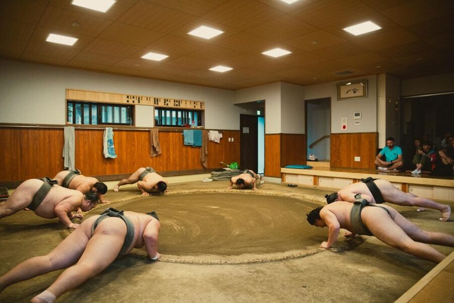 Tokyo: Sumo Morning Practice Tour at Sumida City - Who This Tour Suits Best, and Who Should Pass