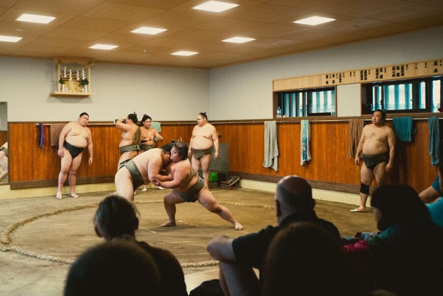 Tokyo: Sumo Morning Practice Tour at Sumida City - The Best Part for Learning: Q&A With the Stable Master