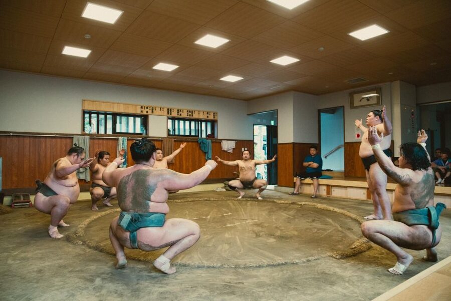 Tokyo: Sumo Morning Practice Tour at Sumida City - How the Viewing Works: Seats Change, and Your View Might Be Perfect or Not
