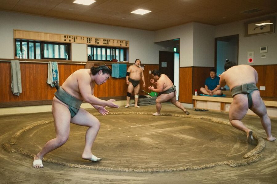 Tokyo: Sumo Morning Practice Tour at Sumida City - Price and Value: Is $116 Worth Two Hours?