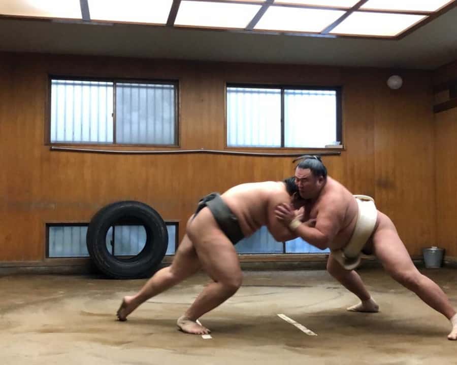 Tokyo: Sumo Morning Practice Tour in Ryogoku and Photo Shoot - Step inside the stable for real morning training