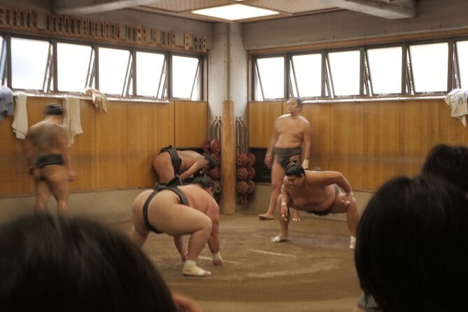 Tokyo Sumo Morning Practice Tour w/ Ring-Side Seat + Photo Shoot - Watching Real Practice Up Close at the Sumo Stable