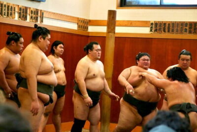 Tokyo Sumo Morning Practice: Viewing & Exclusive Interaction