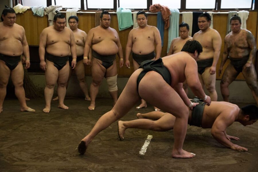 Tokyo: Sumo Morning Practice Viewing Tour - Price and value: does $81 buy real access?