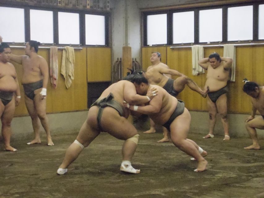 Tokyo: Sumo Morning Practice Viewing Tour - How the 90 minutes to 2 hours actually moves