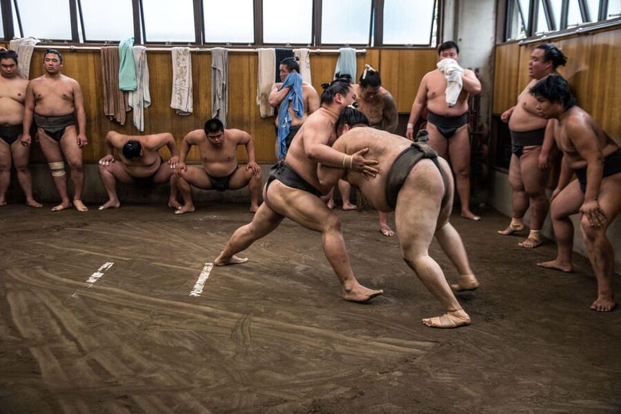 Tokyo: Sumo Morning Practice Viewing Tour - What you will see: the real work behind the matches