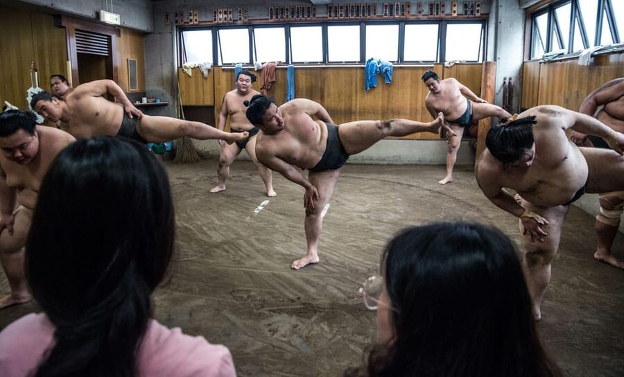 Tokyo: Sumo Morning Practice Viewing Tour - The guides and the notes: how you learn to watch sumo