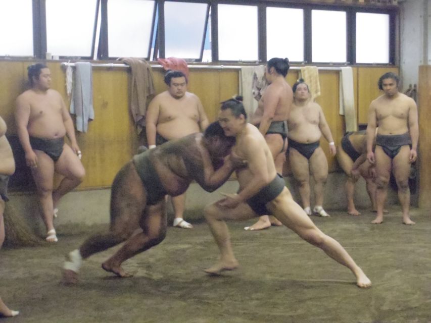 Tokyo: Sumo Morning Practice Viewing Tour - How the tour compares to a tournament day