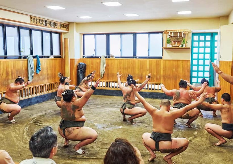Tokyo: Sumo Morning Practice Viewing Tour at a Real Stable - Getting the Most Out of a Small Group Experience