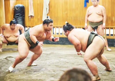 Sumo Morning Practice Viewing Tour at a Real Stable