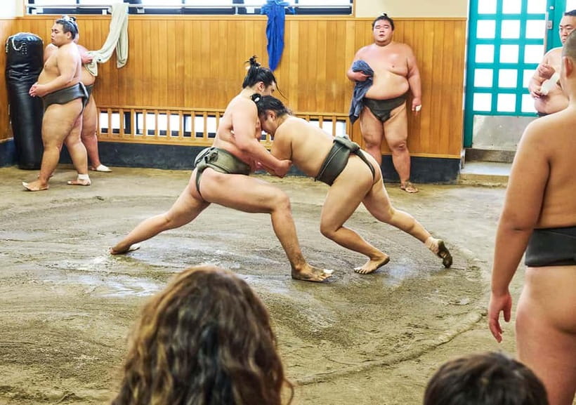 Tokyo: Sumo Morning Practice Viewing Tour at a Real Stable - Learning the Rules and Rituals Before You Sit Down
