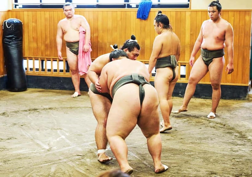 Tokyo: Sumo Morning Practice Viewing Tour at a Real Stable - Speaking With Wrestlers Outside Training Hours