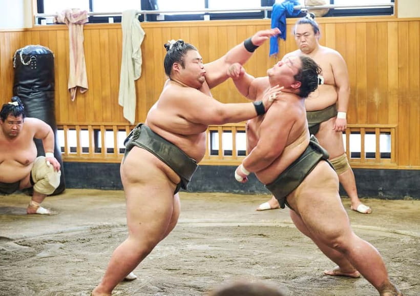 Tokyo: Sumo Morning Practice Viewing Tour at a Real Stable - Price and Value: Is $98 Worth It for 2 Hours?