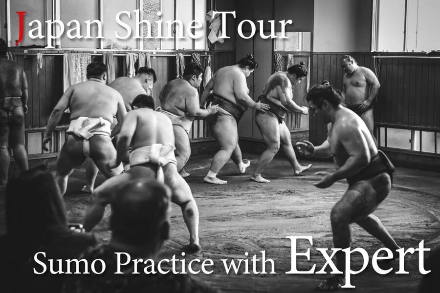 Tokyo: Sumo Morning Practice with journalists. Not fake show - Takasago-beya Sumo Stable: what the 2 hours feel like