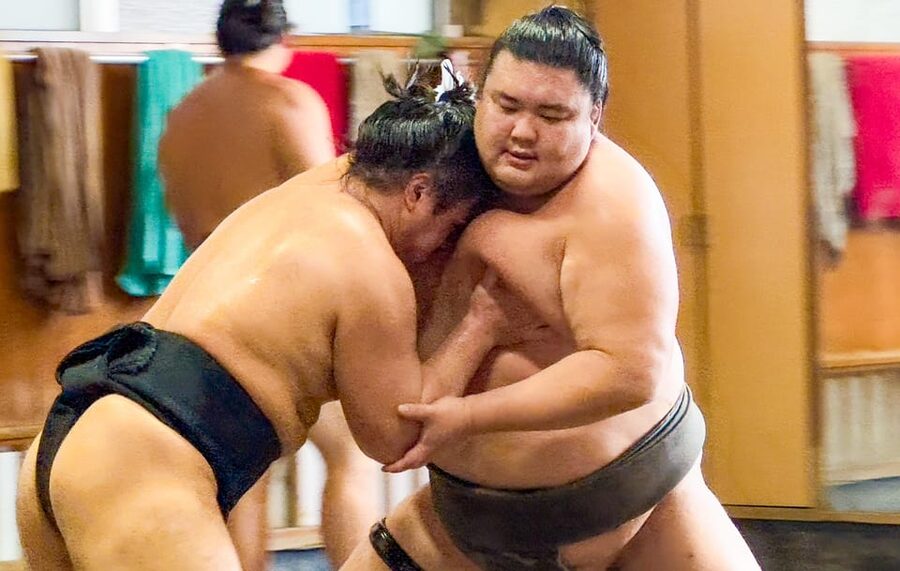 Tokyo: Sumo Morning Practice with journalists. Not fake show - Photo time and etiquette: how to get the shot without breaking rules