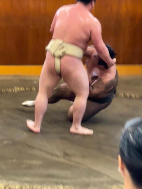 Tokyo: Sumo Morning Practice with Photo Banzuke and Guide - Sumo Morning Practice in Tokyo, and Why It Feels Like the Real Thing