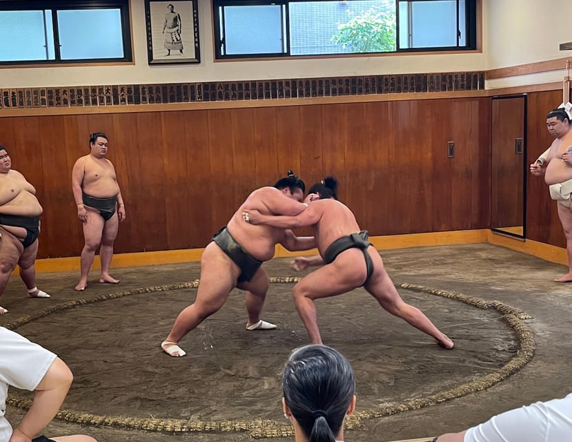 Tokyo: Sumo Morning Practice with Photo Banzuke and Guide - The First 15 Minutes: Getting Oriented Before the Action