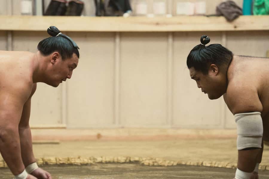 Tokyo Sumo Morning Practice: Witness the Life of a Wrestler - Inside the Training: What You’ll See and How the Earbuds Help