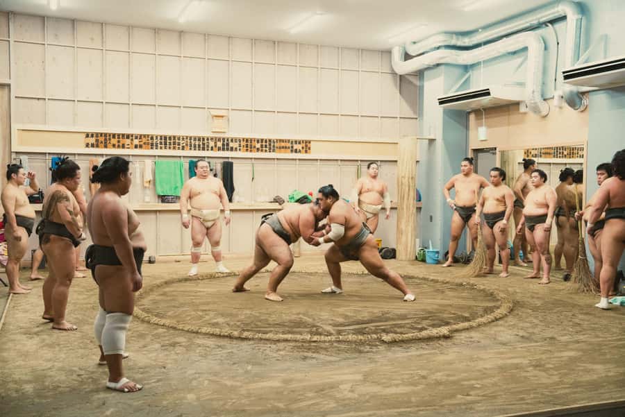 Tokyo Sumo Morning Practice: Witness the Life of a Wrestler - Timing, Group Size, and the Reality of Floor Sitting