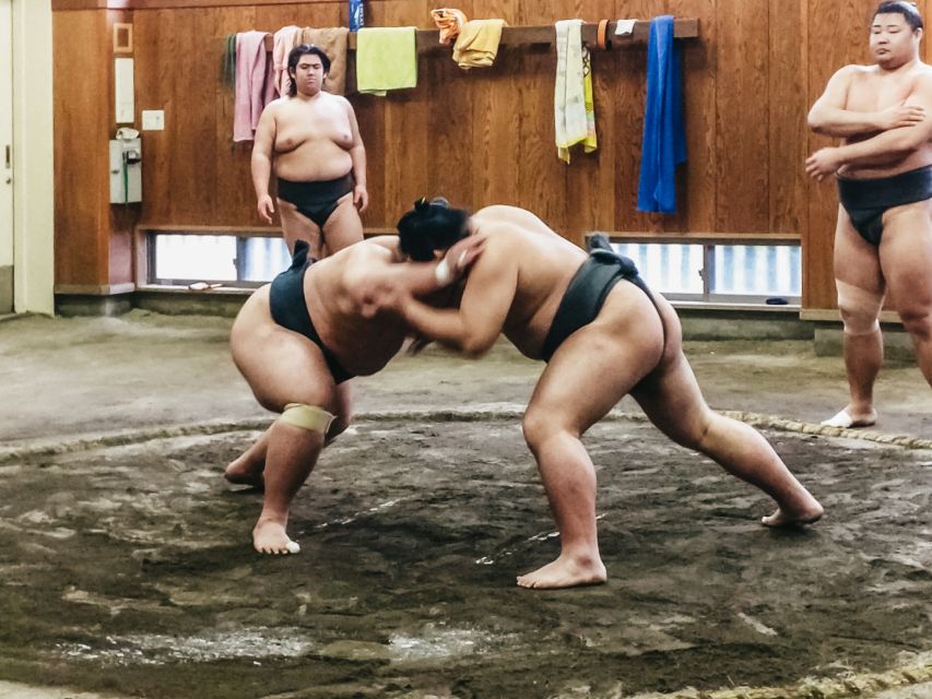 Tokyo: Sumo Morning Training Visit - Tokyo Sumo Morning Training, the Real Keiko